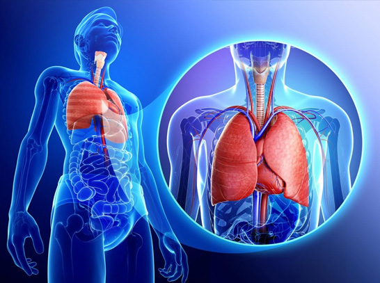 <p>How Breathing Problems Can Indicate a Surgical Chest Condition</p>
